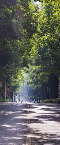 加拿大走势28预测走势图